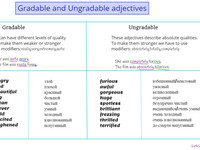 Gradable and Ungradable Adj